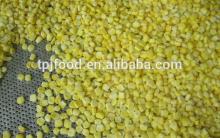 Frozen kernels sweet corn export to all over the world