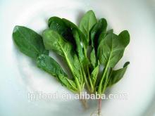 hot selling IQF vegetable-spinach leaves (whole)
