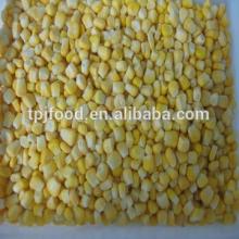 Frozen Sweet Corn kernels export to Iran