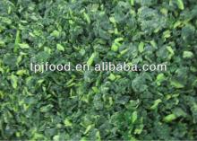 IQF Spinach Pieces with FDA,HACCP,HALAL