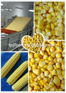 Frozen corn kernels (Huafei,Jinfei,Middle sweet, Supper sweet)