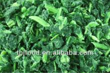 2014 hot selling IQF frozen chopped spinach! 2cm