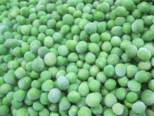 7-11MM Frozen Green Peas with FDA,HACCP,HALAL,BRC certificates