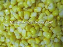 new IQF corn kernel with best price
