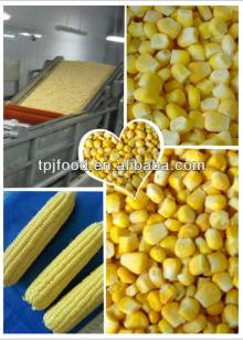 2014  IQF   corn   kernels (Huazhen,Middle sweet,Jinfei,Super sweet)