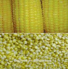 2014 hot selling IQF sweet corn (kernels or corn on cob)
