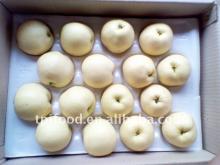 fresh golden pear