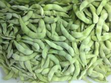 frozen green soy bean with FDA,HACCP,BRC