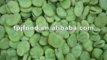 2014 New crops of IQF broad bean