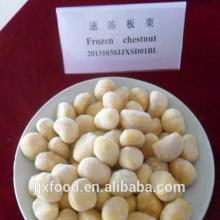 frozen chestnut