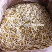 2014 new product bean sprout