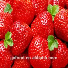 wholesale IQF frozen strawberry 2014