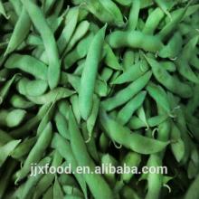 Frozen green soybean