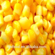 2014 hot Selling Frozen Sweet Corn