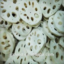 frozen vegetables lotus root piece cut slice
