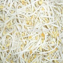 2014bulk wholesale big factory frozen  soybean   sprout s