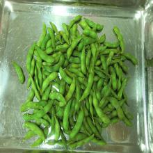 2014 frozen green soybean in best quality from china wholesale