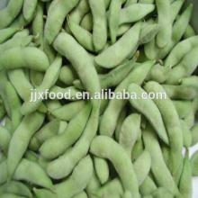 high quality frozen edamame bulk wholesale china