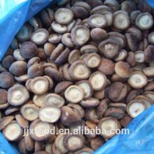 Frozen vegetables mushroom wholesale china in 2014