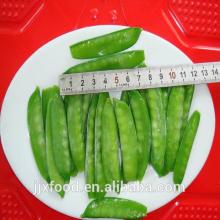 2014 New season  IQF   frozen   pea   pods  for wholesaler