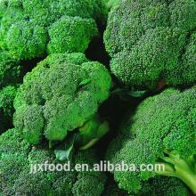 wholesale frozen IQF broccoli