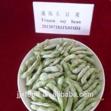 Frozen soybean in pods