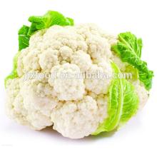2014 IQF Cauliflower in Frozen vegetables