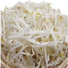 2014 factory all year bulk wholesale frozen mung bean sprouts export