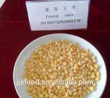 Frozen sweet corn