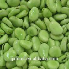 frozen broad beans June newest produce
