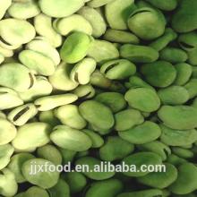 2014bulk wholesale frozen IQF broad beans