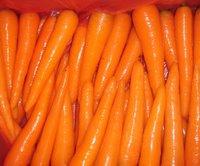Egyptian carrots