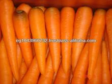 fresh carrots