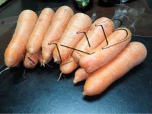 Fresh carrot for sale