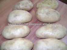 Egyptian potato