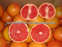 grapefruit