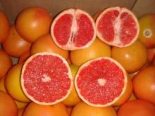 Egyptian grapefruit