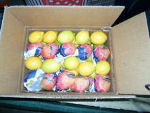 Verna Lemon