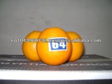 citrus orange