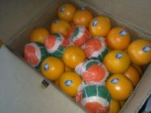Egypt navel orange