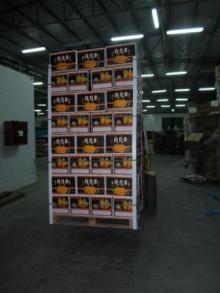citrus orange for sale