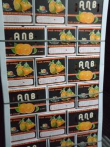 good quality fresh orange