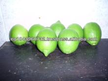Egyptian green lemon