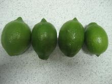 fresh lime for sale