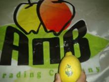 Yellow and Green Adalia lemon for sale