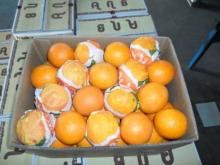 Egypt fresh navel and Valencia orange,good quality