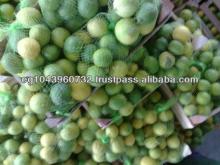 fresh lime