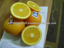 fresh citrus orange