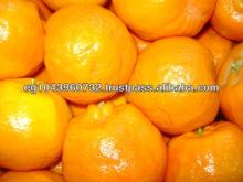 fresh mandarin orange