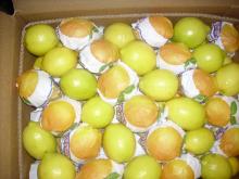 fresh lemon size 80, 88, 100, 105, 113, 125, 138, 165.